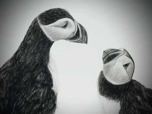 Promise Against the Wind — A Mother’s Story of Trust, Courage & Puffins