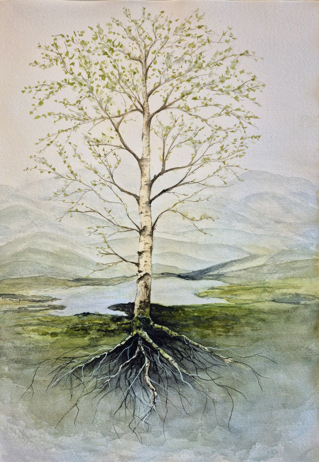 ROOTS BENEATH US