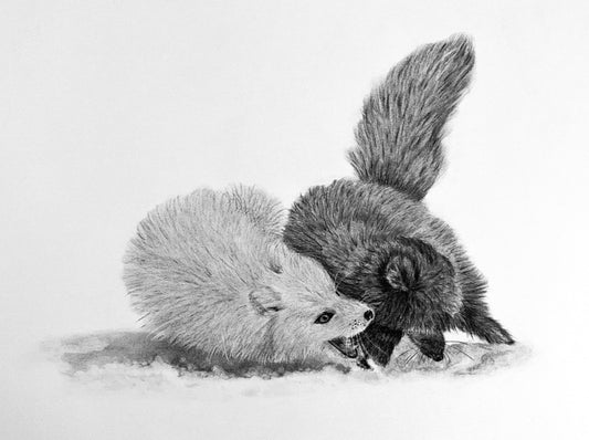 Between Darkness and Light