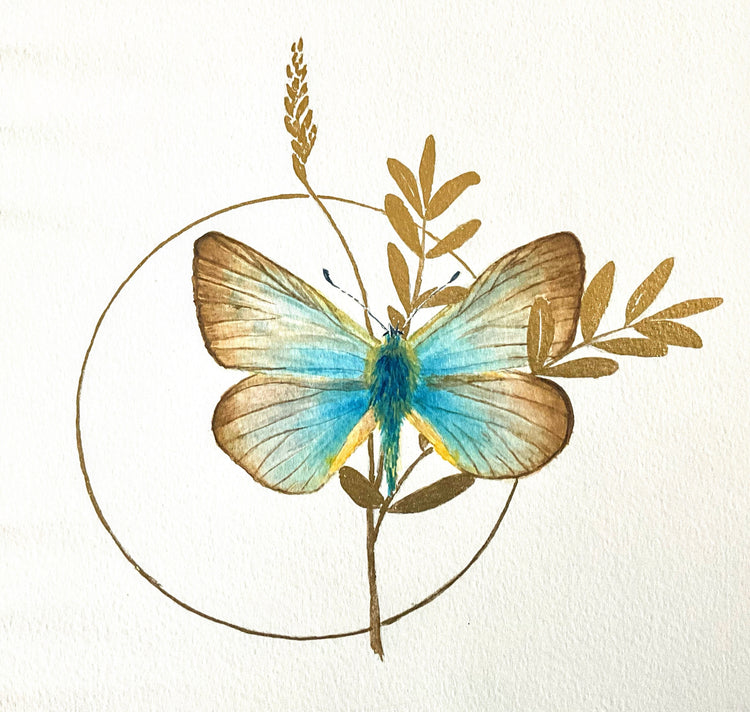 Stories of nature beyond the North. Paintings born from travels, memories, and quiet encounters with creatures and landscapes outside Iceland. Each carries a fragment of home, light, and poetry that transcends places and time.