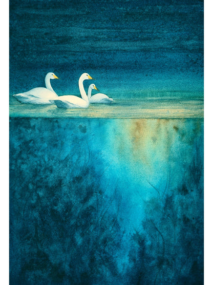 Original Trust watercolour painting by Kate-list: three swans on deep teal water. Reference image; product is a printed reproduction.