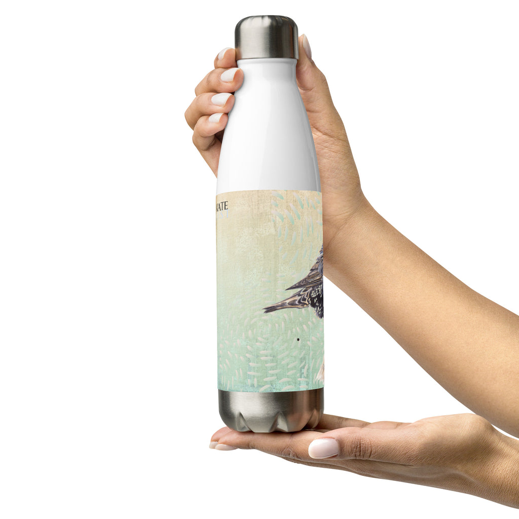 Stari Stainless Steel Water Bottle - kate-list